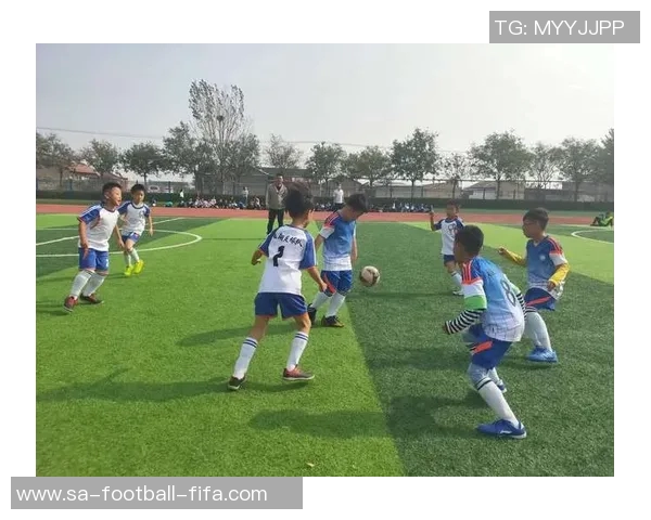 探索97年龄段足球的成长之路与未来发展潜力分析 探索97年龄段足球的成长之路与未来发展潜力分析