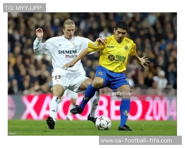 速八足球队勇夺冠军展现团队精神与拼搏精神的辉煌历程